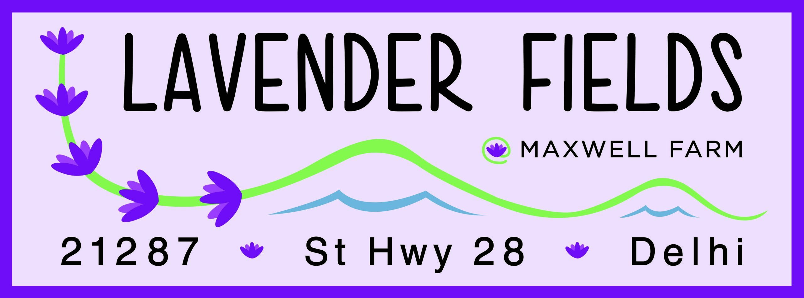 Lavender Fields at Maxwell Farms